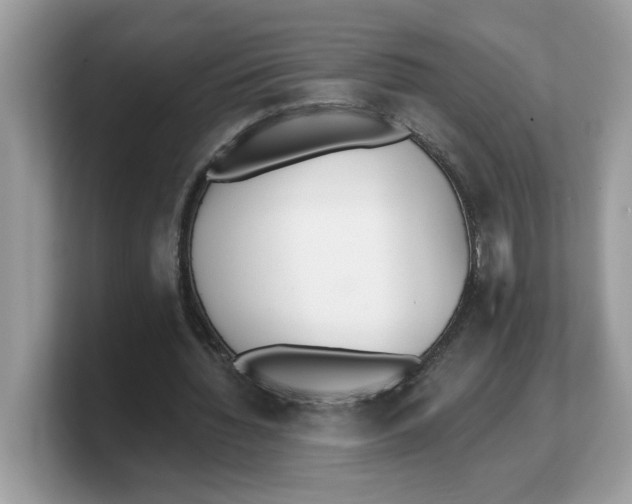 X0000103230436200809181527