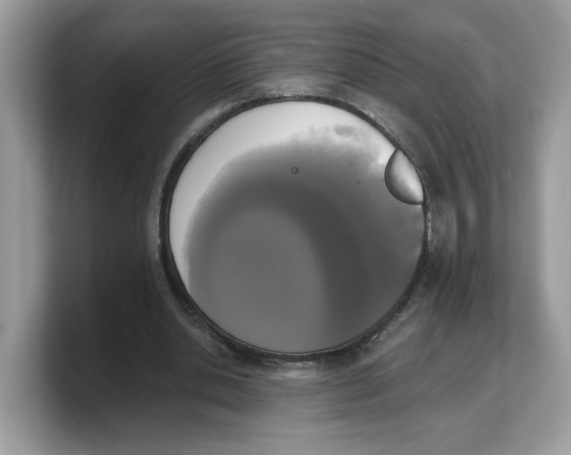X0000103230438200809181527