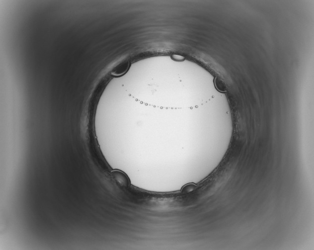 X0000103230440200809181527