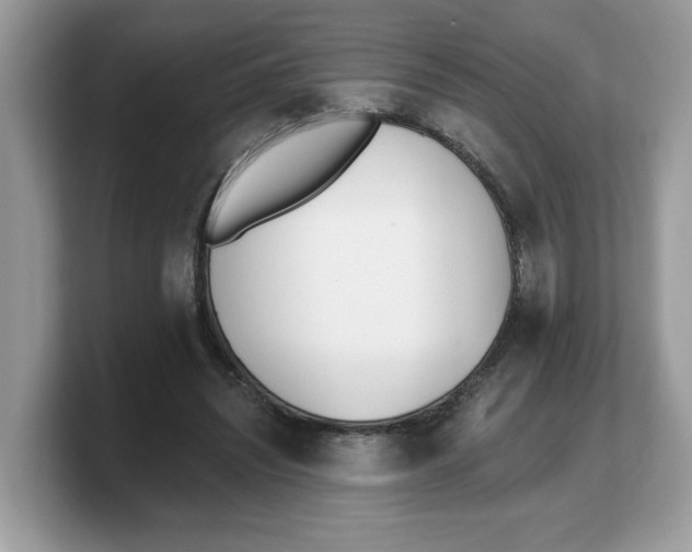 X0000103230444200809181527