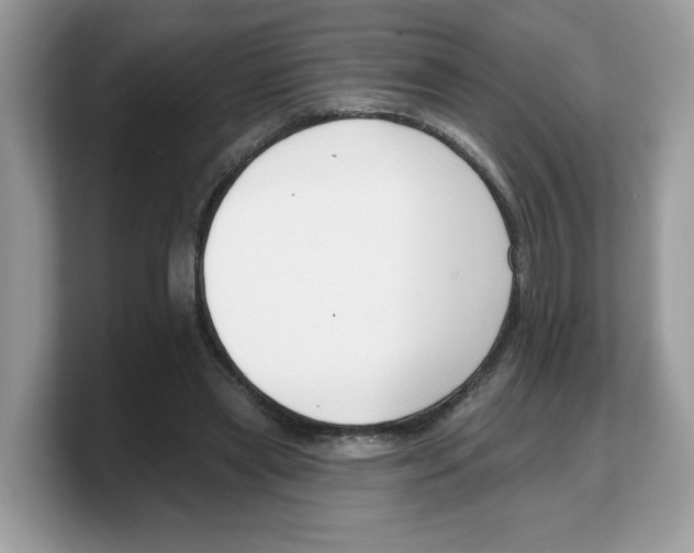 X0000103230445200809181527