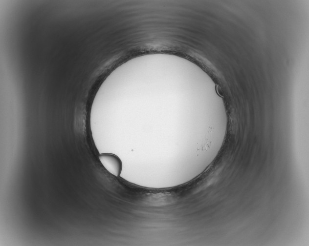 X0000103230446200809181527