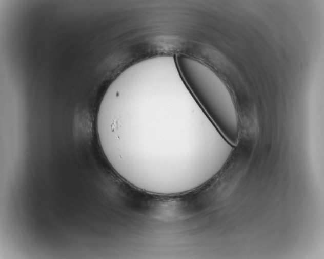 X0000103230456200809181527