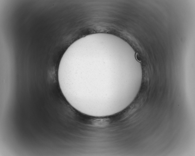 X0000103230465200809181527
