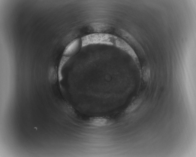 X0000103230471200809181527