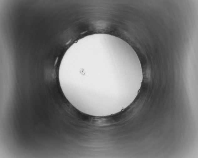 X0000103230472200809181527