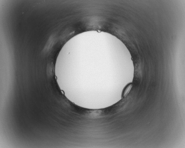 X0000103230474200809181527