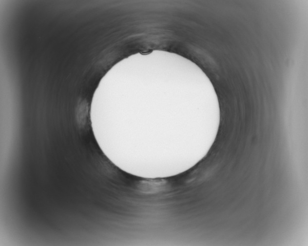 X0000103230480200809181527