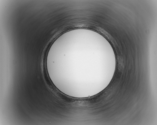 X0000103230482200809181527