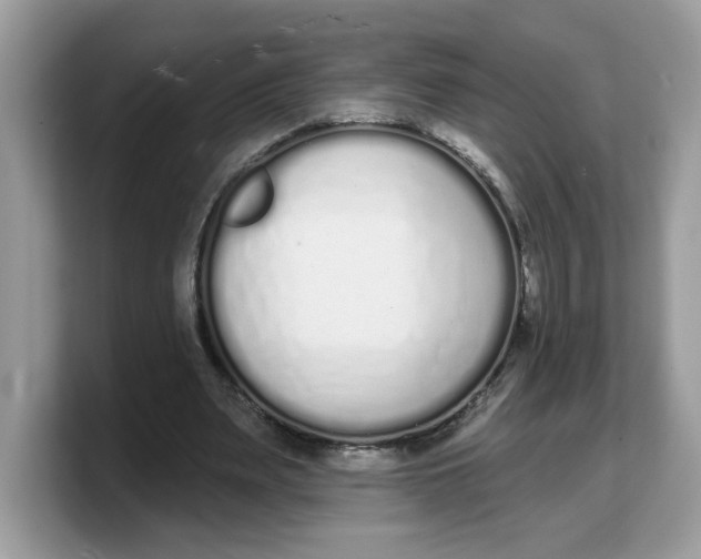 X0000103230487200809181527