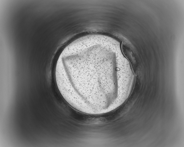 X0000103230488200809181527
