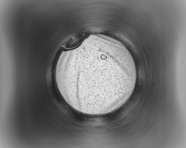 X0000103230492200809181527