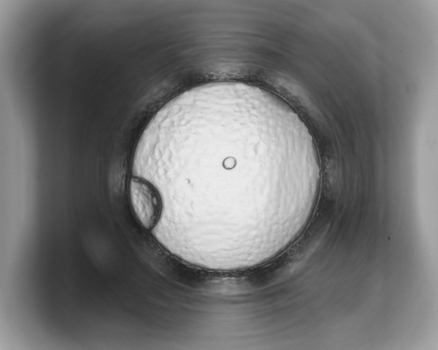 X0000103230499200809181527