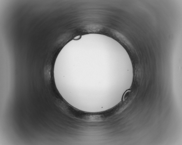 X0000103230501200809181527