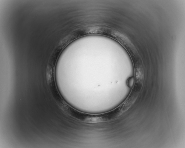 X0000103230503200809181527
