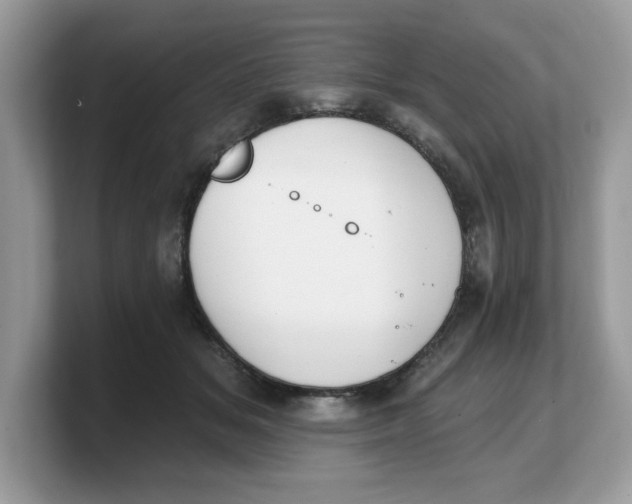 X0000103230509200809181526