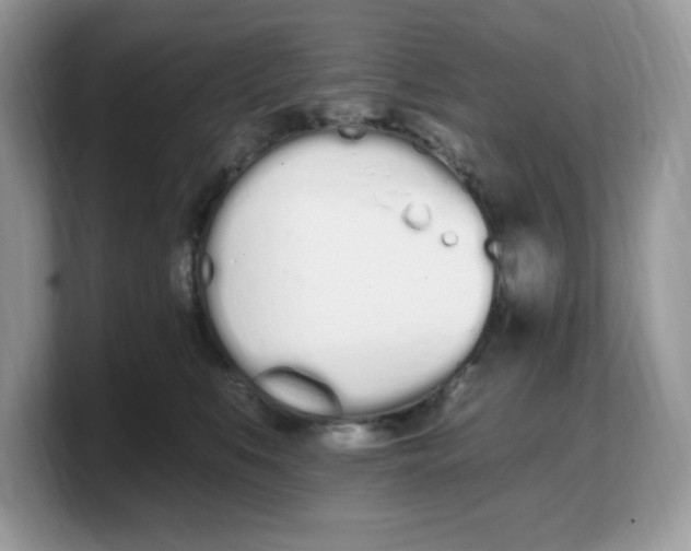 X0000103230519200809181526