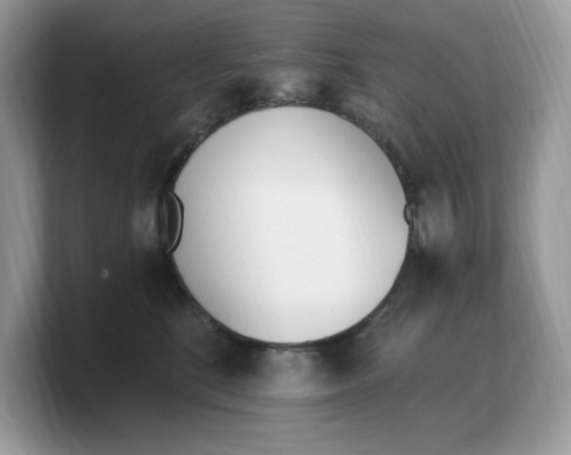 X0000103230520200809181526