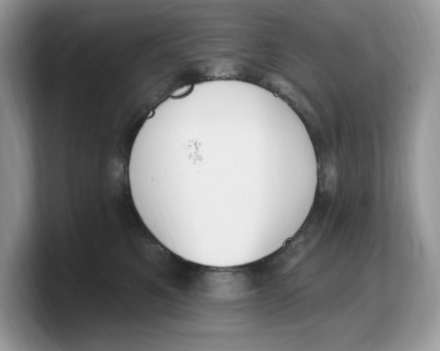X0000103230521200809181526