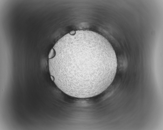 X0000103230523200809181526