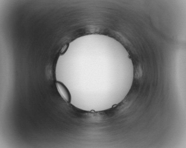 X0000103230524200809181526