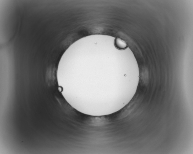 X0000103230525200809181526