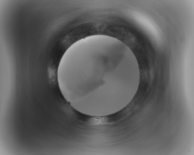 X0000103230526200809181526