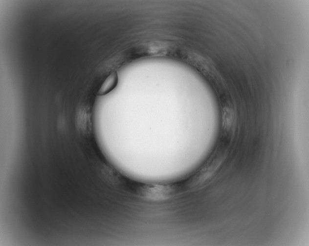 X0000103230527200809181526