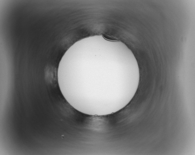 X0000103230528200809181526