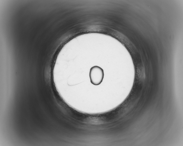 X0000103230534200809181526
