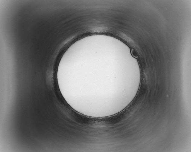 X0000103230535200809181526