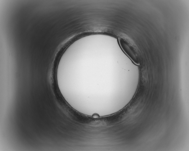 X0000103230536200809181526