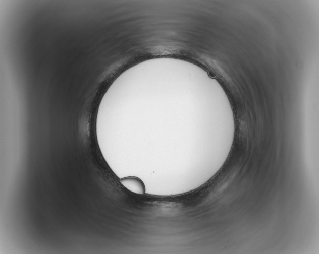 X0000103230539200809181526