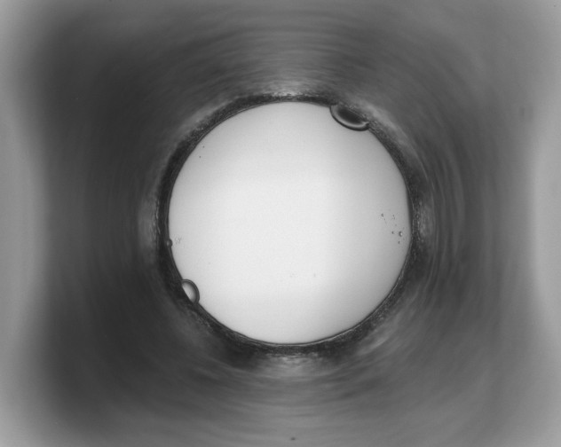 X0000103230540200809181526