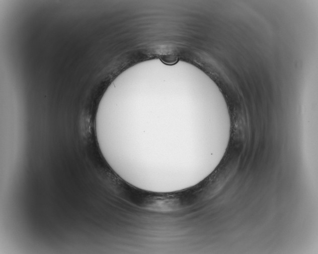 X0000103230555200809181526