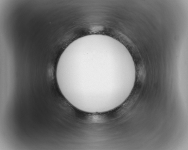 X0000103230565200809181526