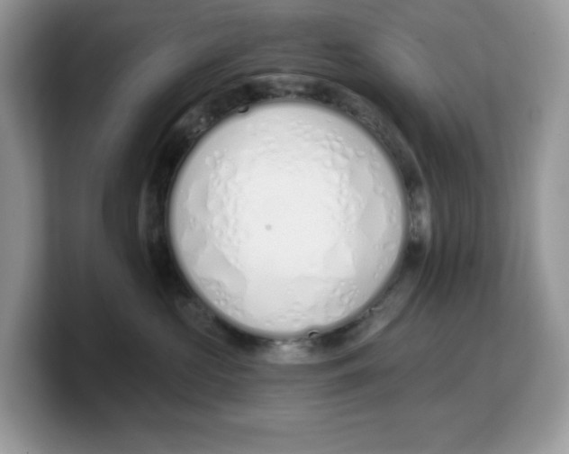 X0000103230573200809181526