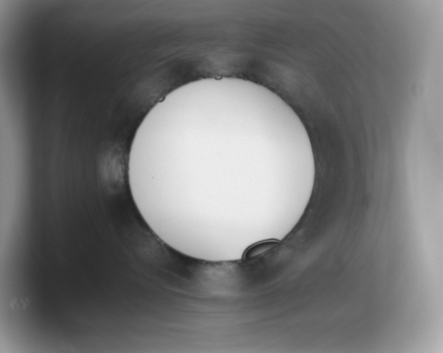 X0000103230576200809181526