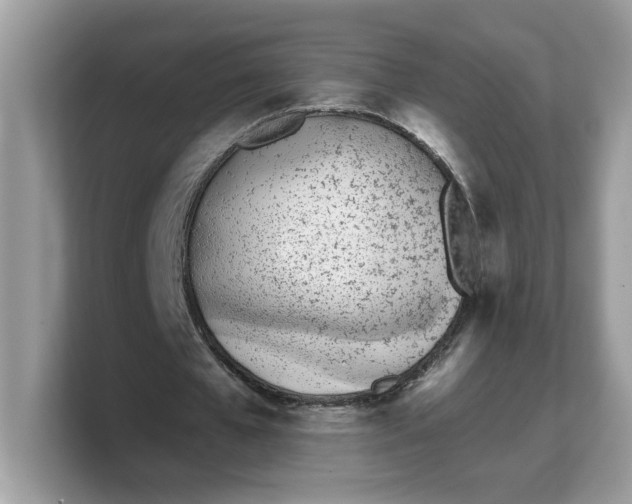 X0000103230577200809181526