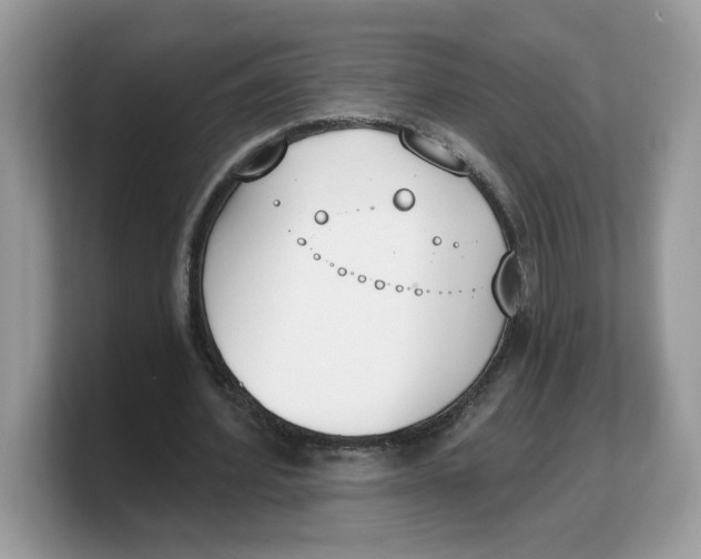 X0000103230580200809181526