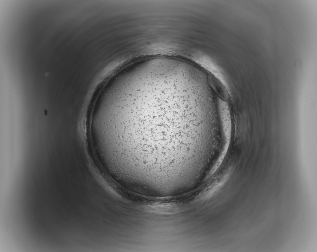 X0000103230581200809181526