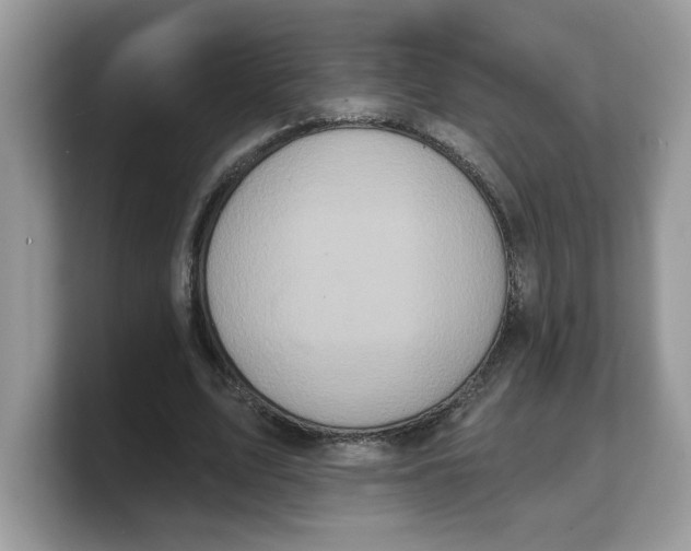 X0000103230583200809181525
