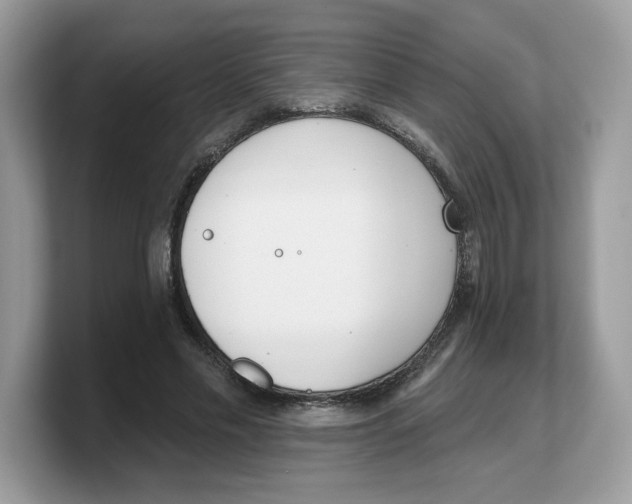 X0000103230589200809181525