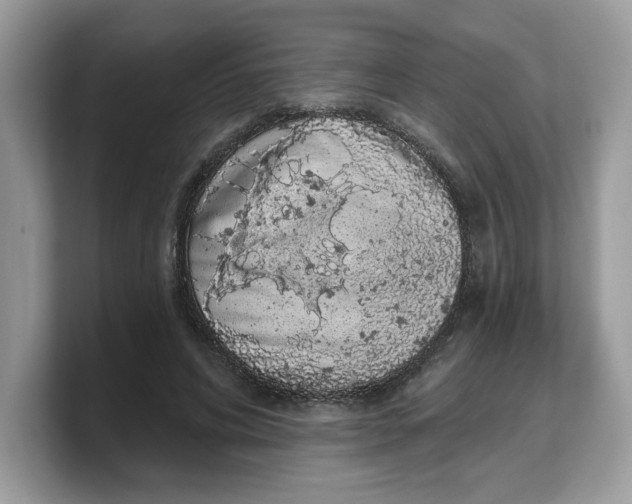 X0000103230592200809181525