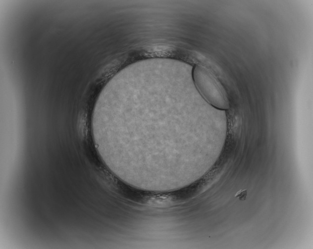 X0000103230599200809181525