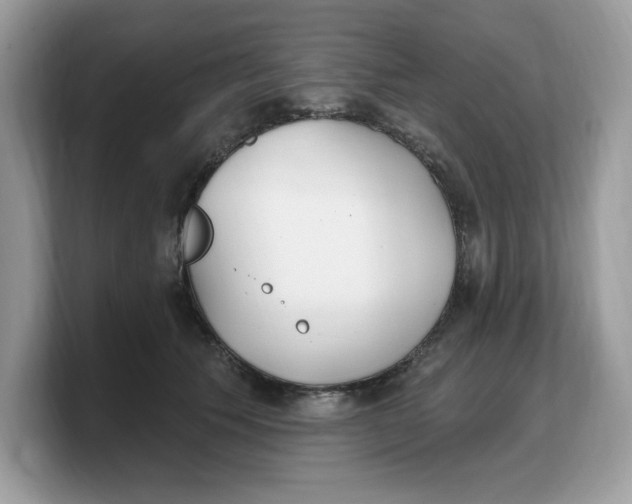 X0000103230609200809181525