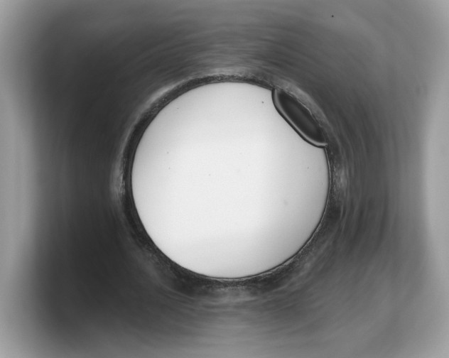 X0000103230628200809181524