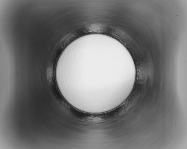 X0000103230648200809181525