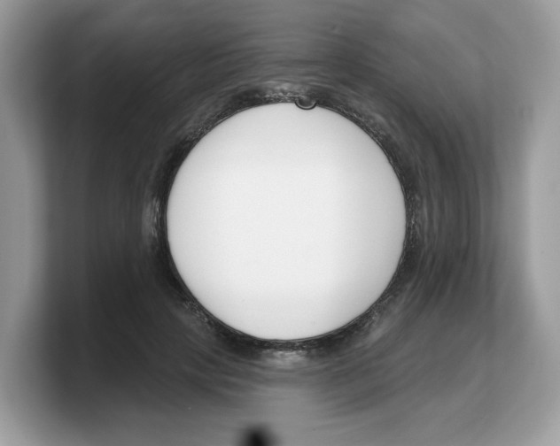 X0000103230649200809181525