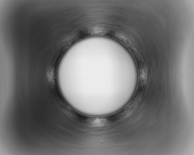 X0000103230663200809181525